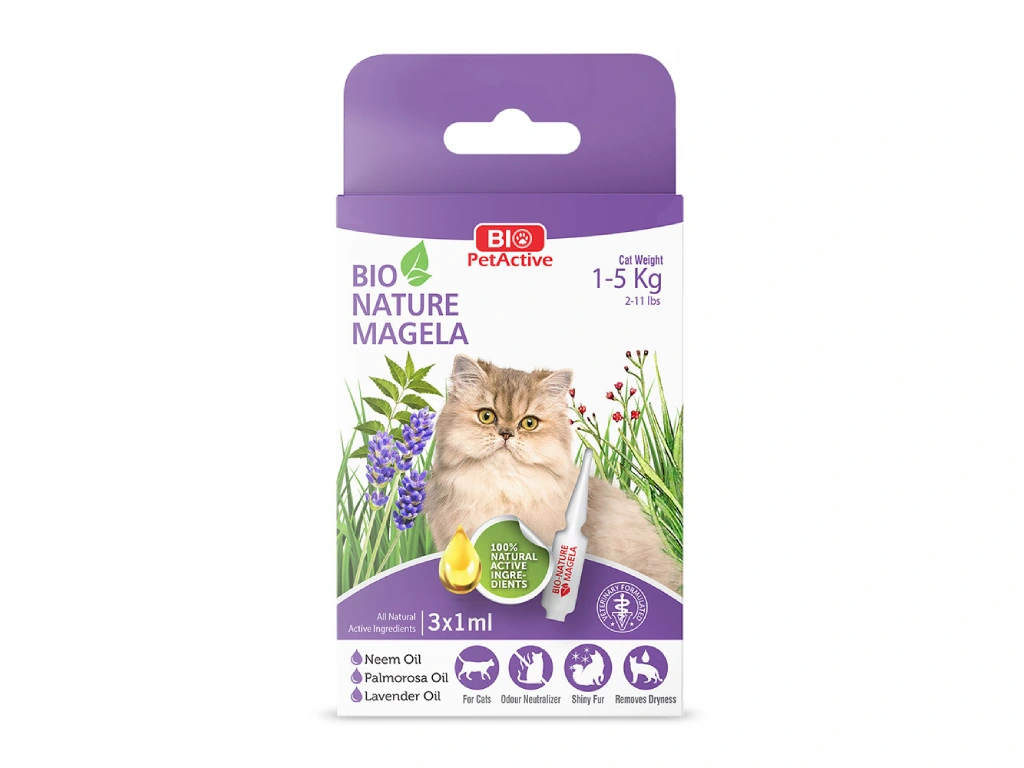 En İyi Kedi Pire Damlası Tavsiyeleri